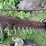 #7471-•-john-deere-sickle-mower-image-10