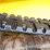 john-deere-319dt-skid-steer-tracked-loader-image-36