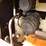 ingersoll-rand-185-image-9