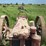 farmall-f12-image-10