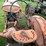 #6681-•-1937-allis-chalmers-tractor-image-11