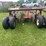 implement-transport-trailer-image-3