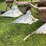 #7462-•-john-deere-moldboard-plow-image-4