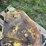 john-deere-110-image-80