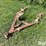 rear-nh3-hitch-image-1
