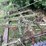 #7451-•-pull-behind-field-cultivator-image-9