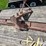 shop-built-3-pt-blade-image-6