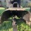 john-deere-model-a-image-43