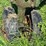 john-deere-g-image-12
