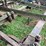 #7451-•-pull-behind-field-cultivator-image-16
