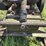 1934-john-deere-w113-stationary-engine-image-27