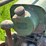 john-deere-g-image-38