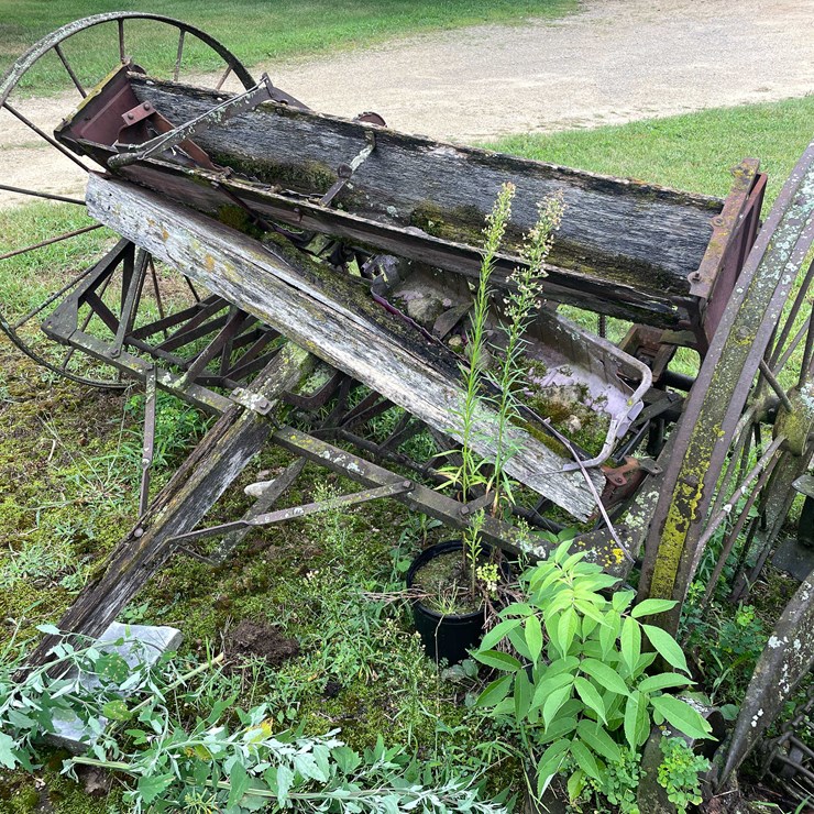#7494 • Antique Seeder