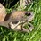 caterpillar-twenty-two-image-26