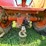 allis-chalmers-u-image-48