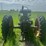 john-deere-g-image-4