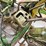 #6673-•-1946-john-deere-image-27