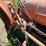 allis-chalmers-with-sickle-mower-image-65