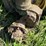 john-deere-g-image-10