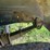 chevy-c70-truck-image-23