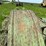 john-deere-d-image-31