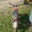 honda-160-image-4