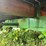 #6691-•-14'-hay-wagon-trailer-image-10