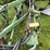 #7464-•-john-deere,-moldboard-plow-image-17
