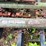 #7476-•-field-cultivator-image-8