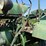 fendt-f25-2cyl-image-24