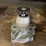 #2108-•-new-cardone-reman-water-pumps-(pr7)-image-8