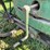 ingersoll-rand-air-compressor-unit-image-45