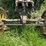 john-deere-d-image-11