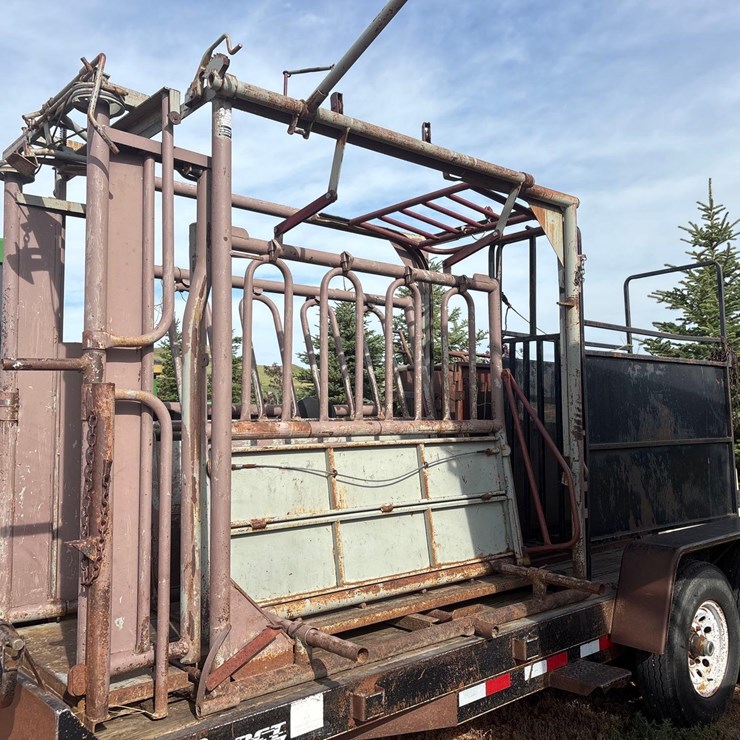 Cattle Squeeze Chute