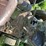 john-deere-model-b-image-30