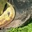 john-deere-70-image-21