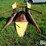 john-deere-2rw-image-2