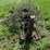 john-deere-model-70-image-8