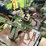 #6673-•-1946-john-deere-image-12