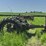john-deere-g-image-6