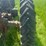 john-deere-g-image-22