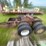 pup-trailer-image-2