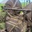 mccormick-deering-10-20-image-32