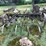 #7496-•-antique-field-cultivator-image-6