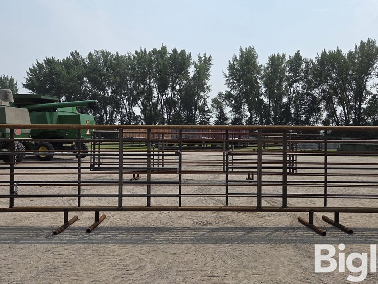 24'-free-standing-panel-w/-12'-swing-gates-(bid-per-unit)-image-6