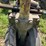 john-deere-g-image-13