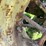 john-deere-g-image-33