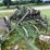 #7496-•-antique-field-cultivator-image-7