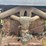 keck-gonnerman-30-60-image-60