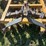 king-kutter-disc-image-9
